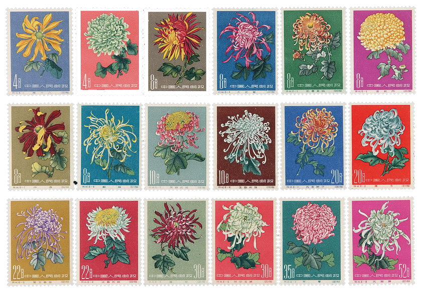 特44菊花全新邮票