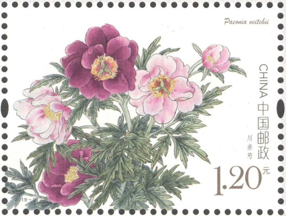 《芍药》特种邮票