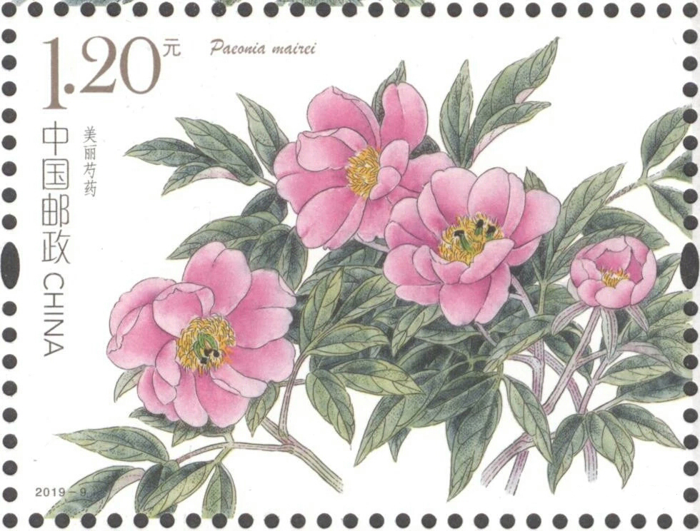 《芍药》特种邮票