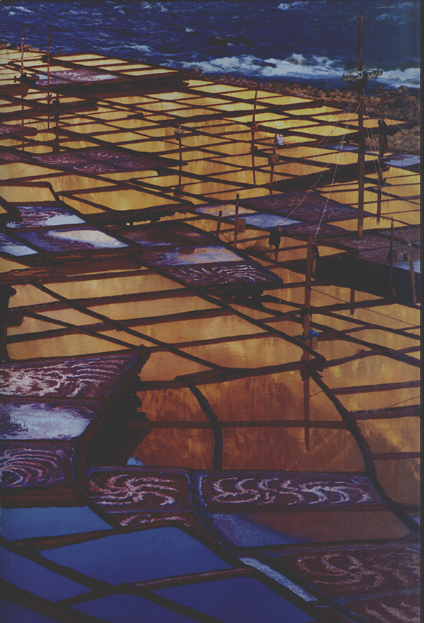 芒康县盐井古盐田