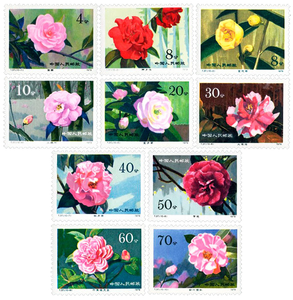 《云南山茶花》邮票